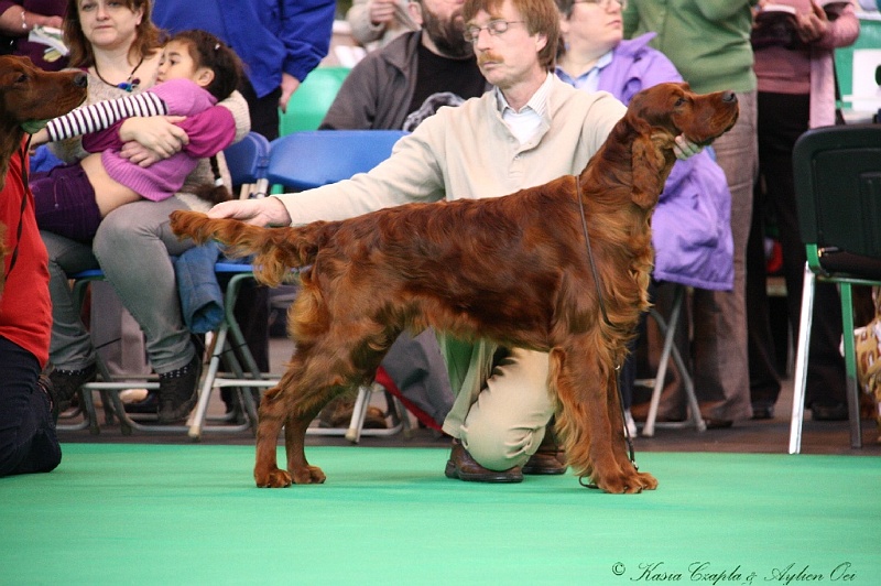 Crufts2011 197.jpg